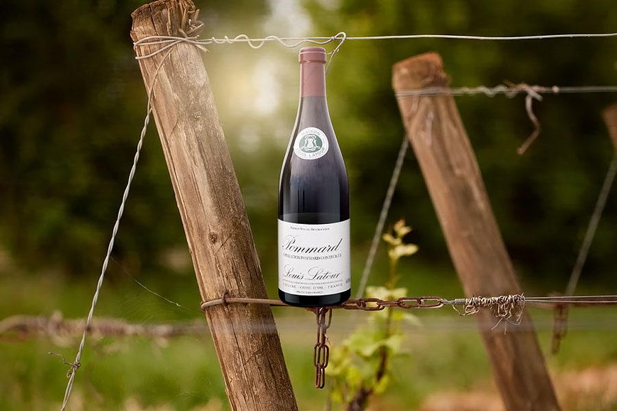 Mua rượu vang Pháp Louis Latour Pommard 2020 ở đâu?